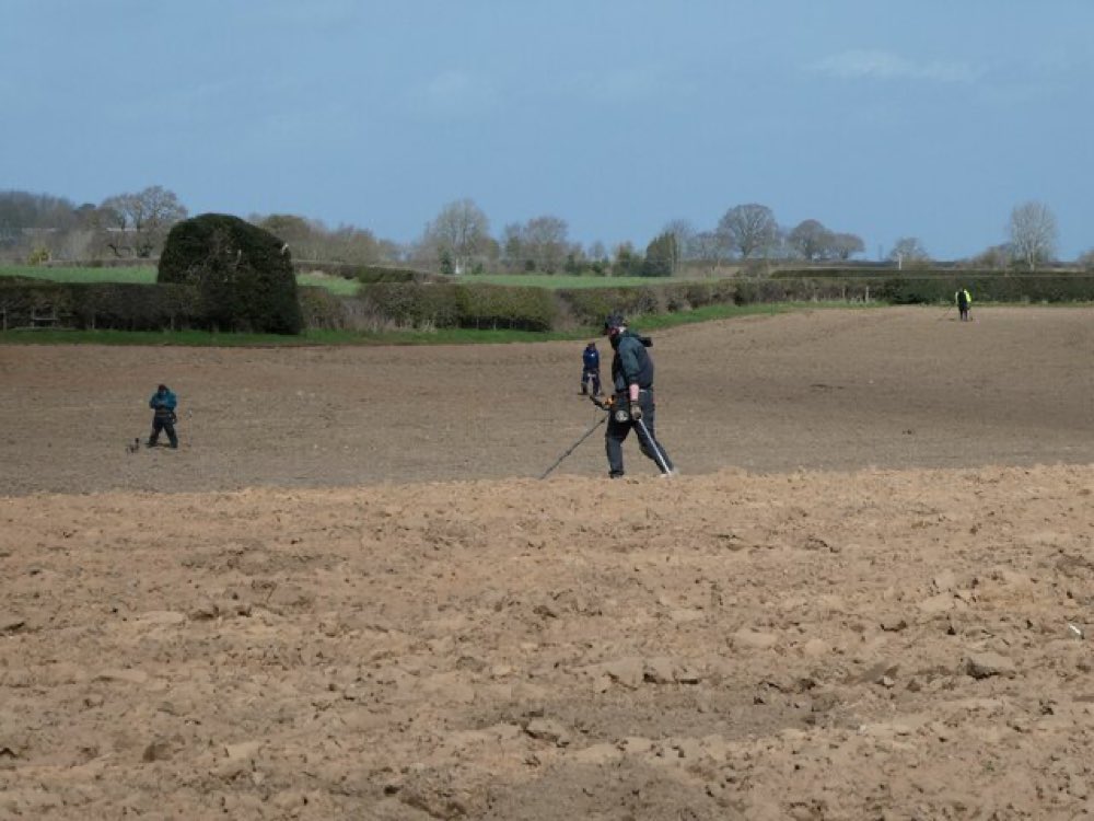 Detectorists searching a grass field