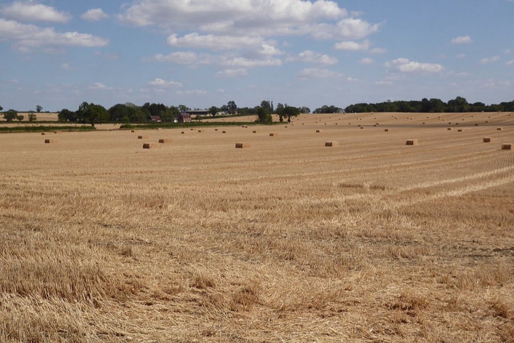 A harvested stubble field in autumn