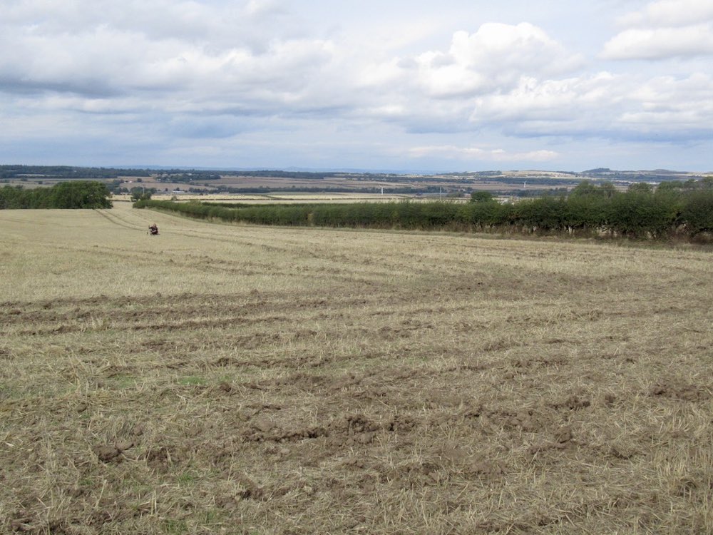 A detectorist searching a stubble field at East Saltoun, East Lothian
