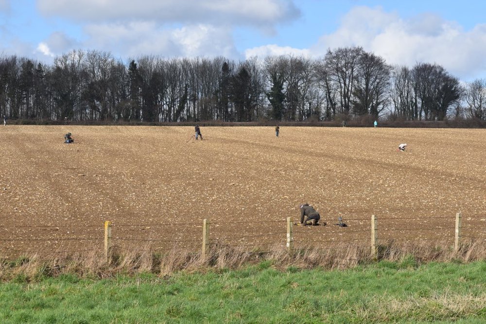 Detectorists in a bare field beside the A31