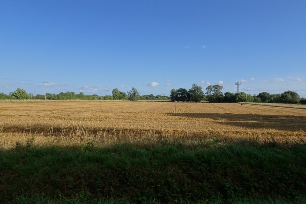 Detectorists working farmland south of Low Lane
