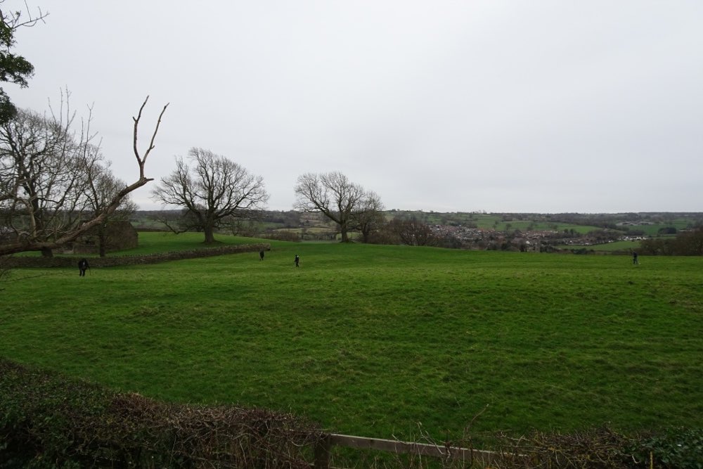 Detectorists working a field